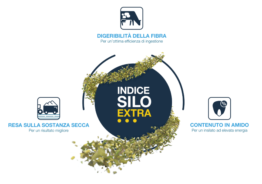 indice silo extra