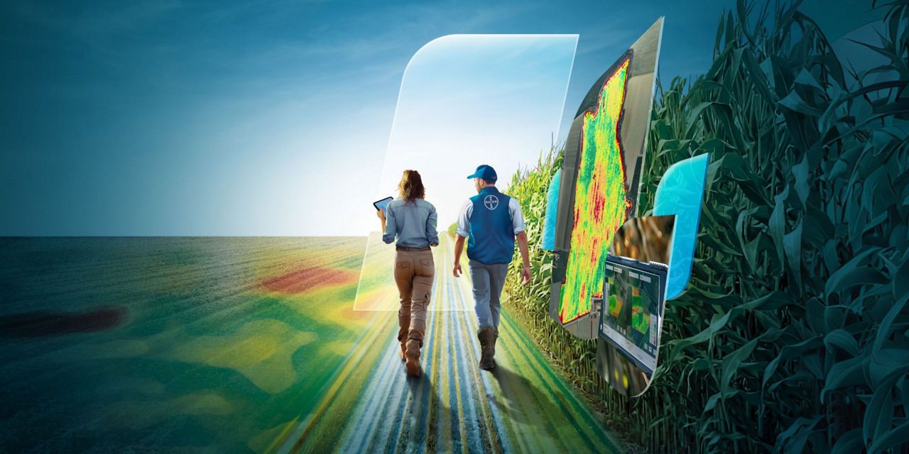 Catalogo mais 2026 coltiviamo la tua ambizione