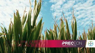 Due recenti studi confermano il potenziale di PRECEON - Smart Corn System