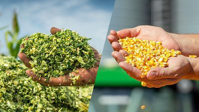 PAC, rotazione, cover crop e ciclo del mais: facciamo chiarezza