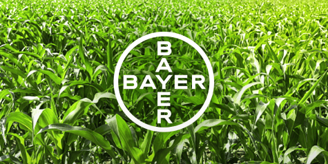 Bayer