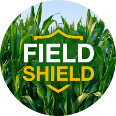 Ibridi fieldshield