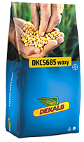 DKC5685 Waxy