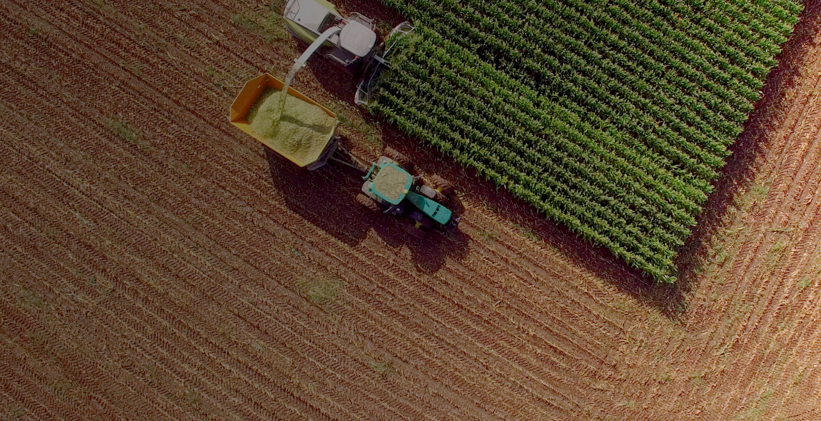 SFIDE DEKALB 2025