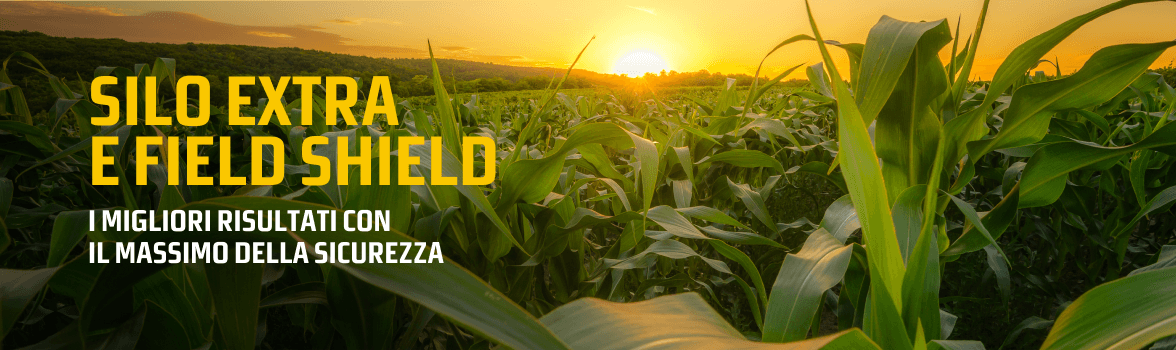 Silo Extra e Field Shield