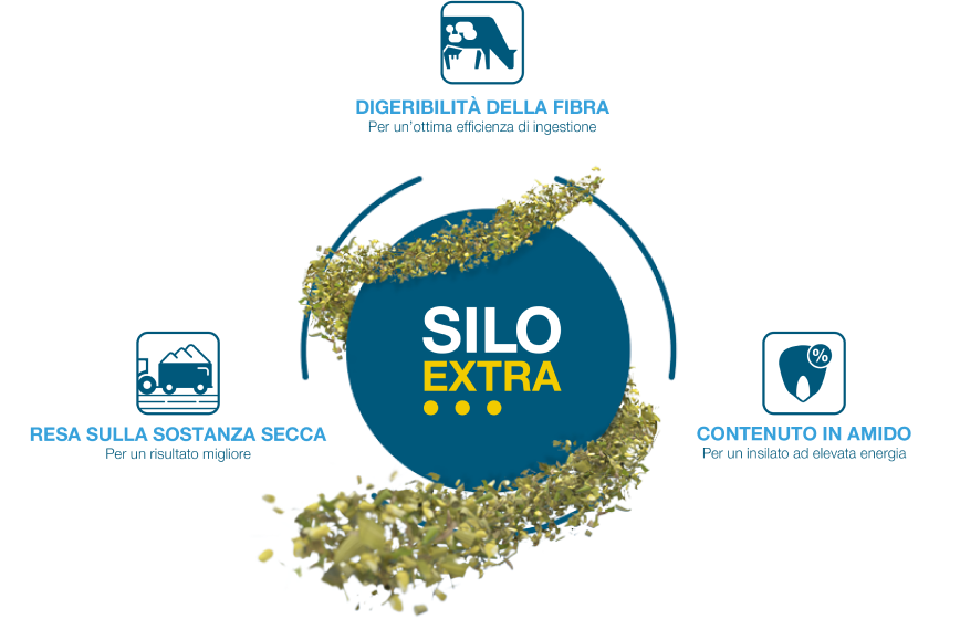 Silo Extra e Field Shield