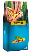 dkc6731