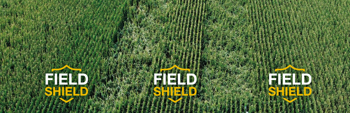 banner footer field shield