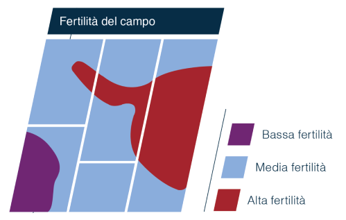 grafico fertilità campo