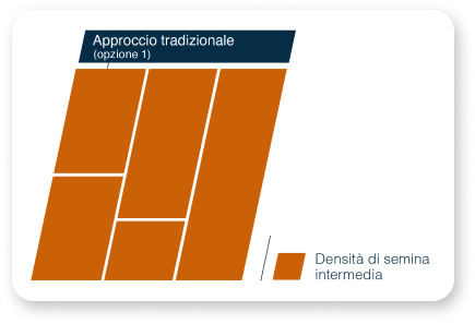 grafico approccio tradizionale