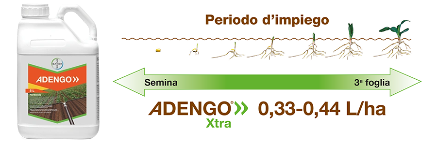 Adengo Xtra