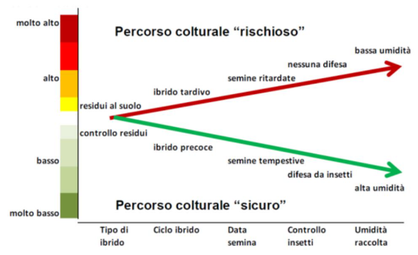 Percorso culturale rischio