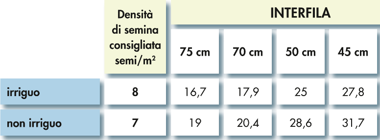 Mais DKC6216WX tabella di semina Mais DKC6216WX tabella di semina