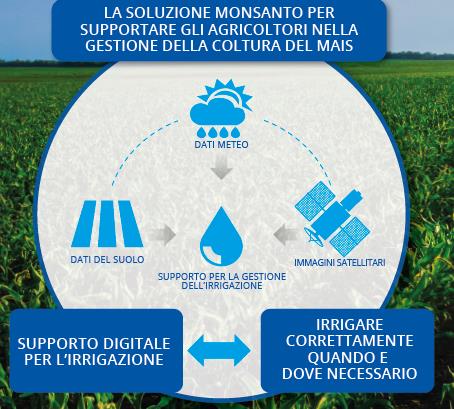 sistemi di irrigazione mais