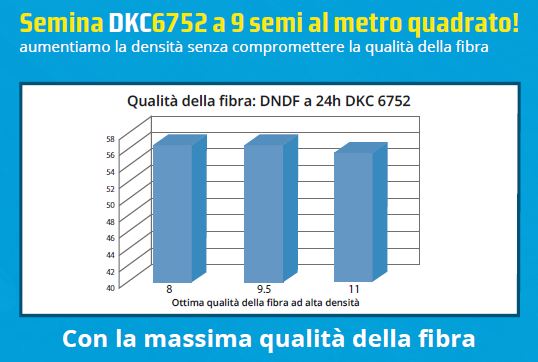 qualita della fibra di mais