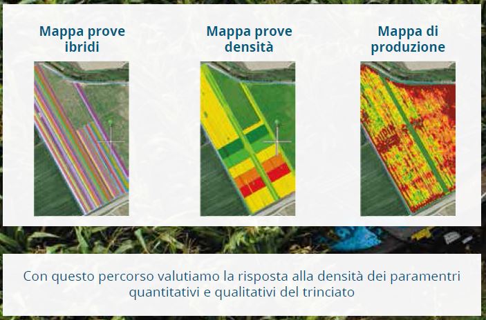 densità dei paramentri quantitativi e qualitativi del trinciato