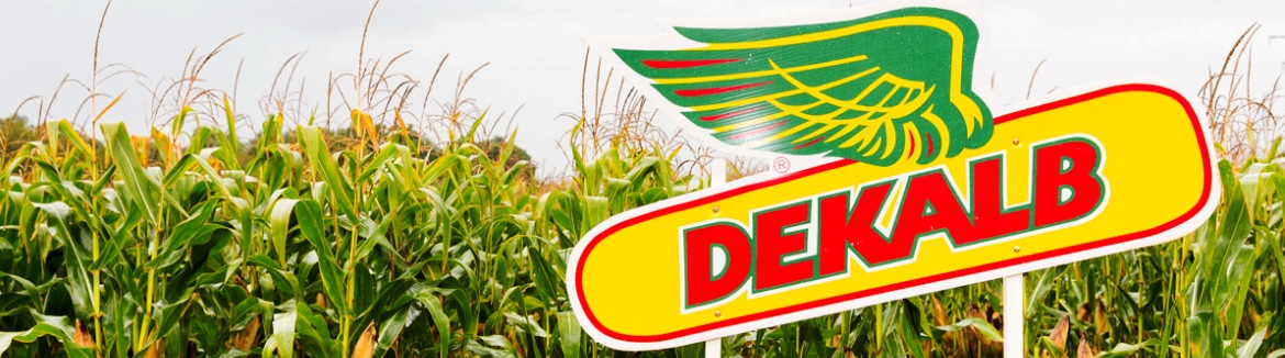 Ottieni la combinazione di ibrido & densità di DEKALB perfetta per il tuo campo!