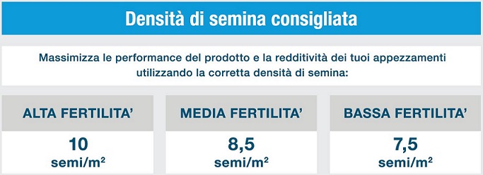 Mais DKC4316 tabella di semina Mais DKC4316 tabella di semina