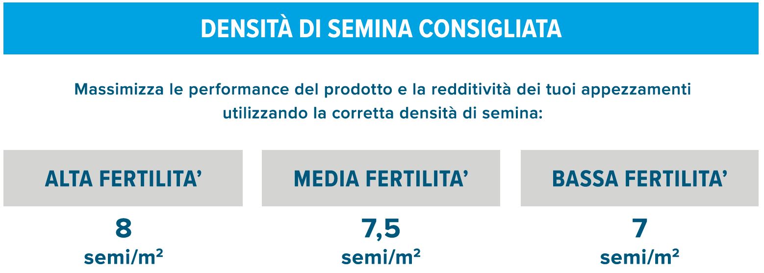 Mais DKC6980 tabella di semina Mais DKC6980 tabella di semina