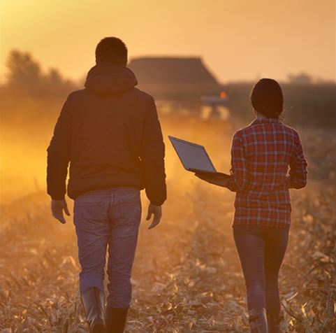 innovazione in agricoltura