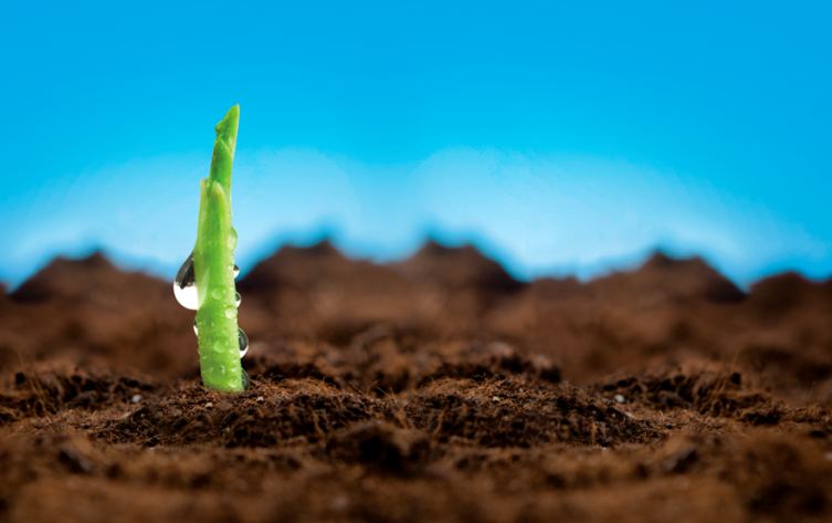 innovazione in agricoltura