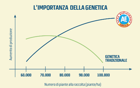 corretta densità di semina